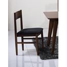 BH DESIGNS_Anthrop Dining Chair