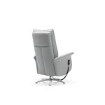 Rom Aloe Swivel Recliner Chair back