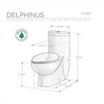 Dual Flush Toilet FTL2309- 2