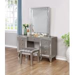 Leighton Metallic Mercury Beveled Vanity Mirror-4