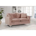 Naomi Pink Velvet Love Seat Naomi_Loveseat_Pink by Meridian Furniture 4