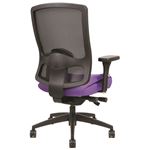 Prius 12221 Executive Office Chair Back