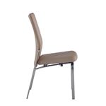Molly Beige and Brushed Dining Side Chair Side