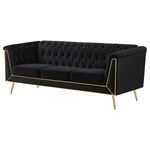 Holly Black and Gold Tufted Sofa 508441-4