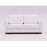 Fantasy Queen Size Loveseat Sleeper in Fabric by Luonto Furniture
