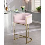 Donatella Pink Velvet Counter Stool-4