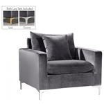 Naomi Grey Velvet Chair Naomi_Chair_Grey by Meridian Furniture 2