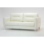 Jamie Queen Size Sofa Sleeper in Leather by Luonto Furniture