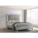 Bowfield Grey Velvet Upholstered Queen Bed 31004-2