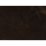 Chester Tufted Natchez Brown Leather Stationary-2