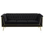 Holly Black and Gold Tufted Sofa 508441-2