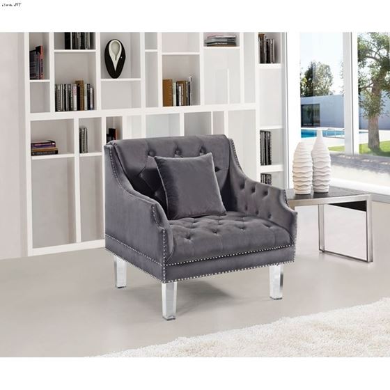 Roxy Grey Velvet Tufted Chair Roxy_Chair_Grey by Meridian Furniture 2